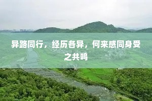 异路同行，经历各异，何来感同身受之共鸣