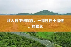 秤入官中得微直，一缗往往十缗偿。的释义