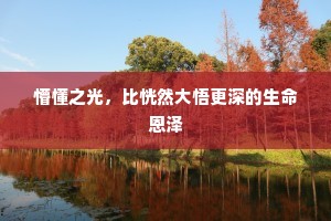 懵懂之光，比恍然大悟更深的生命恩泽