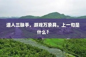 道人三昧手，游戏万象具。上一句是什么？