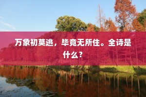 万象初莫逃，毕竟无所住。全诗是什么？