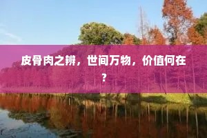 皮骨肉之辨，世间万物，价值何在？