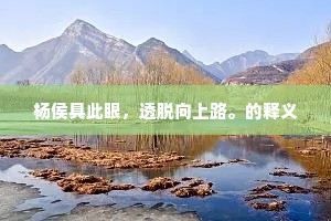 杨侯具此眼，透脱向上路。的释义