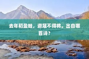 去年稻盈畦，避寇不得将。出自哪首诗？