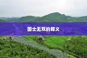 国士无双的释义