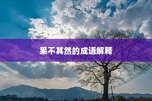 果不其然的成语解释