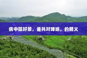 病中孤好景，谁共对婵娟。的释义