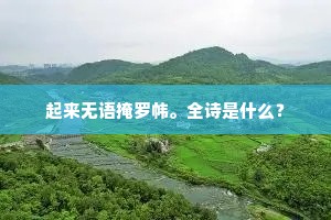 起来无语掩罗帏。全诗是什么？