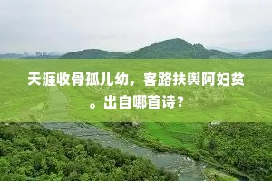 天涯收骨孤儿幼，客路扶舆阿妇贫。出自哪首诗？