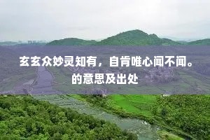 玄玄众妙灵知有，自肯唯心闻不闻。的意思及出处