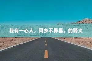 我有一心人，同乡不异县。的释义