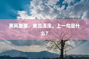 薰风萧萧，黄流浑浑。上一句是什么？