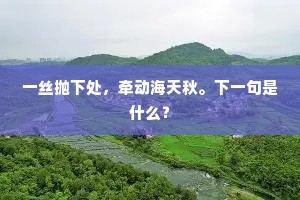 一丝抛下处，牵动海天秋。下一句是什么？