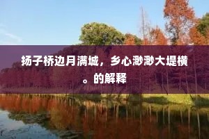 扬子桥边月满城，乡心渺渺大堤横。的解释