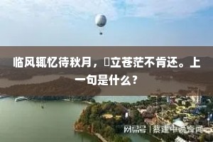 临风辄忆待秋月，夐立苍茫不肯还。上一句是什么？