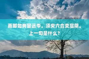 雨脚如奔冒远岑，须臾六合变层阴。上一句是什么？