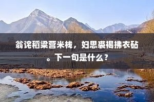 翁诧稻粱营米栈，妇思裘褐拂衣砧。下一句是什么？