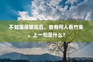 不知落尽繁花后，曾有何人看竹来。上一句是什么？