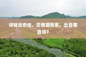 诗味淡愈佳，交情凝有素。出自哪首诗？