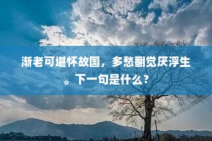 渐老可堪怀故国，多愁翻觉厌浮生。下一句是什么？