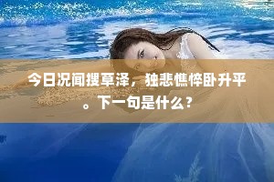 今日况闻搜草泽，独悲憔悴卧升平。下一句是什么？