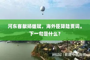 河东客献扬雄赋，海外臣降陆贾词。下一句是什么？