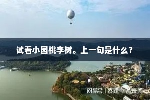 试看小园桃李树。上一句是什么？