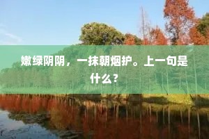 嫩绿阴阴，一抹朝烟护。上一句是什么？