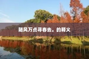随风万点寻春去。的释义