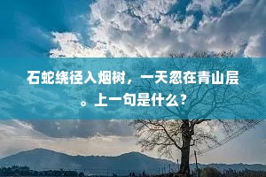 石蛇绕径入烟树，一天忽在青山层。上一句是什么？