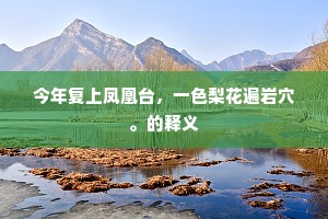 今年复上凤凰台,一色梨花遍岩穴。的释义 今年复上凤凰台,一色梨花遍岩穴。的释义