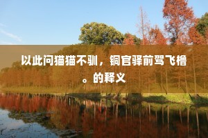 以此问猫猫不驯，铜官驿前驾飞橹。的释义