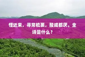 怪近来，寻常梳裹，酸咸都厌。全诗是什么？