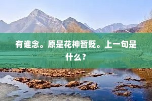 有谁念。原是花神暂贬。上一句是什么？