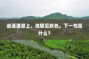 逍遥澄湖上，洗眼见秋色。下一句是什么？