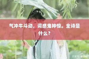 气冲牛斗动，词感鬼神惊。全诗是什么？
