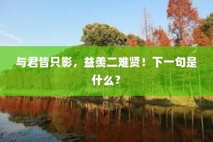与君皆只影，益羡二难贤！下一句是什么？