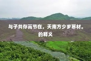 与子共存高节在，天南方少岁寒材。的释义