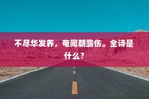 不尽华发养，奄闻朝露伤。全诗是什么？