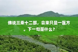 佛说三乘十二部，会来只是一医方。下一句是什么？