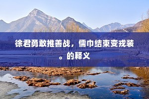 徐君勇敢推善战，儒巾结束变戎装。的释义