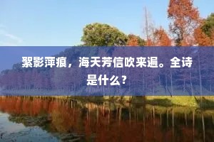 絮影萍痕，海天芳信吹来遍。全诗是什么？