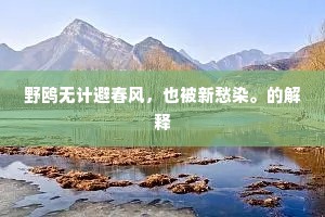 野鸥无计避春风，也被新愁染。的解释