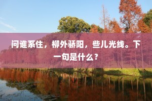 问谁系住，柳外骄阳，些儿光线。下一句是什么？