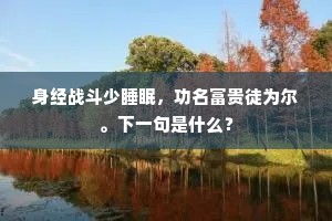 身经战斗少睡眠，功名富贵徒为尔。下一句是什么？