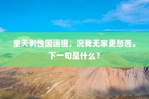 皇天剥蚀国运徂，况我无家更愁苦。下一句是什么？