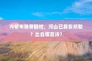 沟壑未填骨髓枯，河山已异安所取？出自哪首诗？