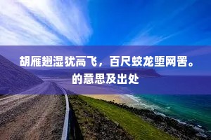 胡雁翅湿犹高飞，百尺蛟龙堕网罟。的意思及出处