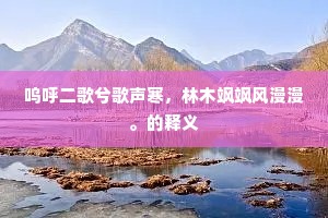 呜呼二歌兮歌声寒，林木飒飒风漫漫。的释义
