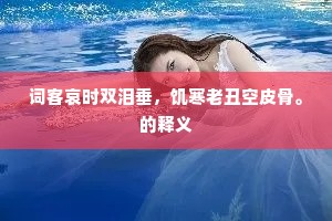 词客哀时双泪垂，饥寒老丑空皮骨。的释义